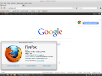 linuxmint-13-cinnamon-1.4-firefox-12