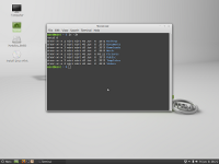 linuxmint-13-cinnamon-1.4-terminal